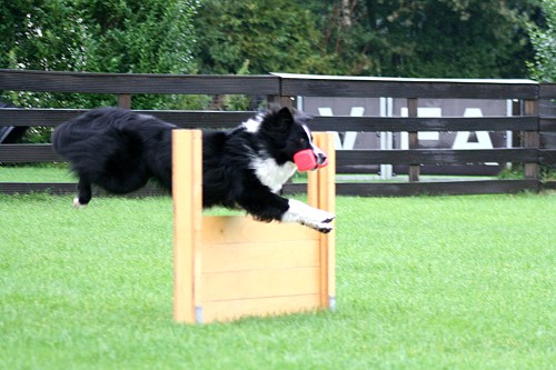 Enna August 2010, 14 Monate Enna