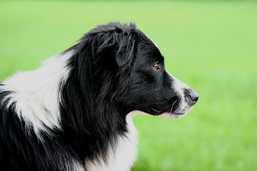 Enna August 2010, 14 Monate Enna