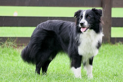 Enna August 2010, 14 Monate alt  Enna