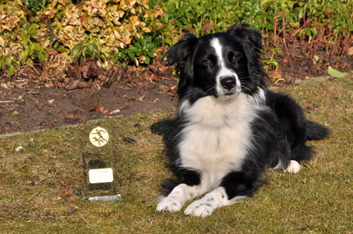 Enna 2012, 
                                           die Siegerin Enna, die Siegerin