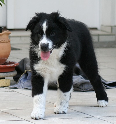 Enna