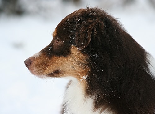 Julys Profil mit 18 Monaten Dezember 2010 Julys Profil mit 18 Monaten Dezember 2010