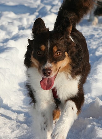 July 18 Monate Dezember 2010 July 18 Monate Dezember 2010