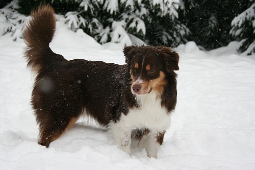 July 18 Monate alt Dezember 2010 July 18 Monate alt Dezember 2010