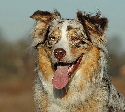 2 Jahre 		alt Porttrait Smilla