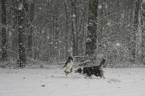 Jenna und Roxy 2008