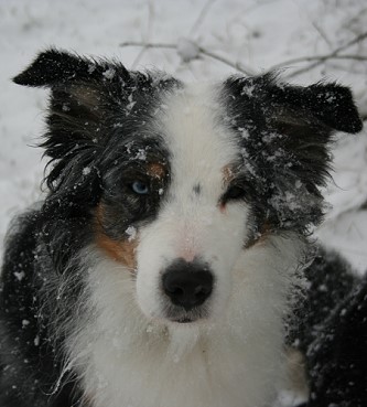 Jenna Winter 2008