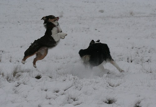 July und Roxy