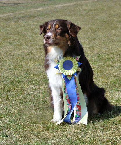 July, RWB 2013 Eksel, Belgien July, RWB 2013 Eksel, Belgien