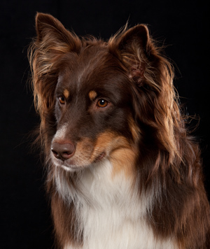 Stormbringers School Project Jamie