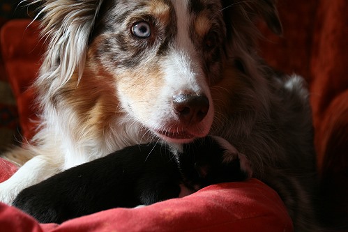 Smilla und Hanni Smilla und Hanni