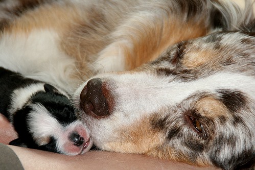 Smilla und Hanni Smilla und Hanni