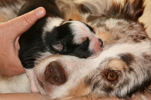 Smilla und Hanni Smilla und Hanni