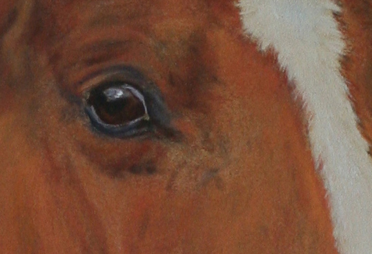 Dalli- 
	Pferd - Pastell