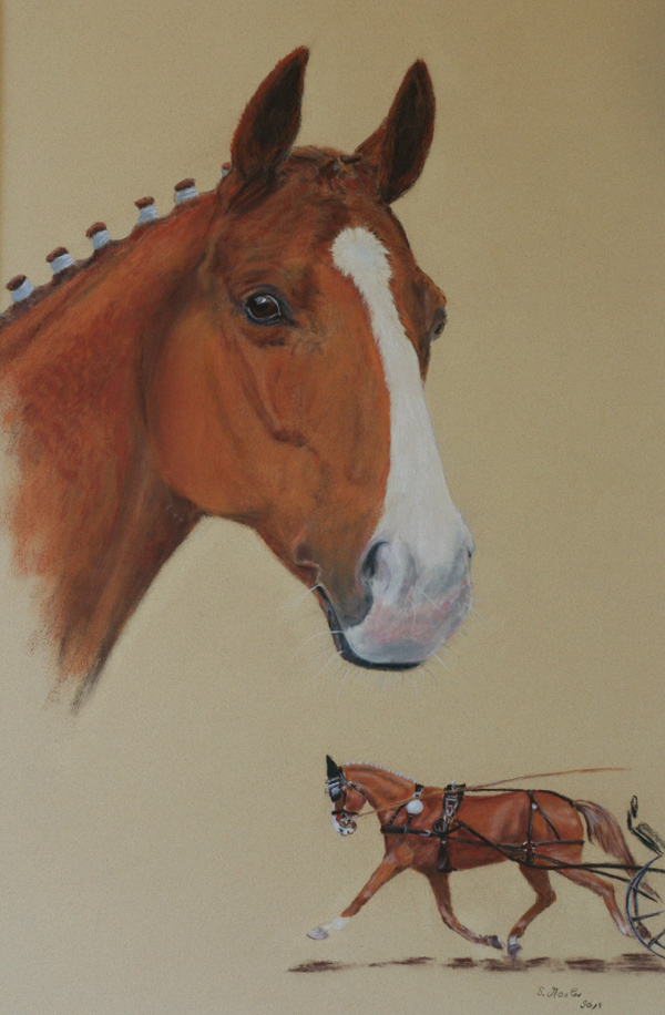 Dalli- 
	Pferd - Pastell